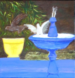Les jardins de Majorelle - 3