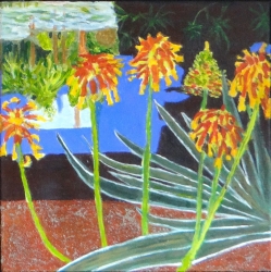 Les jardins de Majorelle - 4