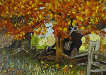 Flamboyant automne